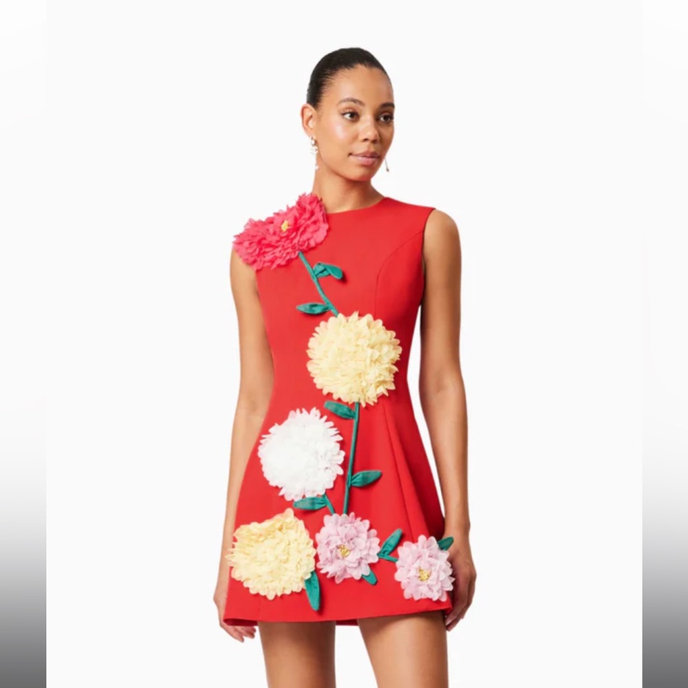 Buttercup Embroidered Mini Dress in Red - 3D Floral